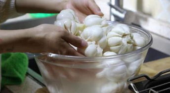 怎樣腌制糖蒜 糖蒜的正確腌制方法竅門