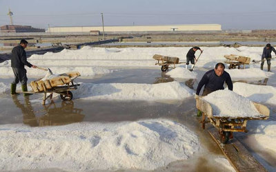 腌制鹽工作現(xiàn)場
