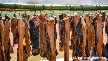 臘肉 致癌還是健康？科學視角下的腌制鹽分析